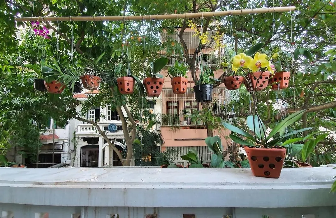 De Studio Homestay-1
